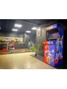 Arcade Vintage|Mario VS Sonic 10 000 Jeux !